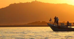 Irrawaddy-Delta