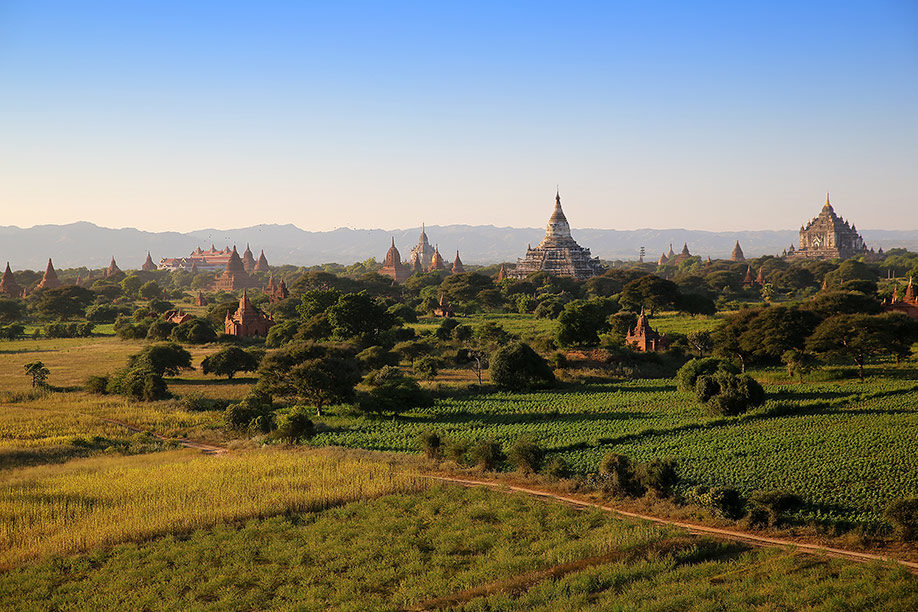 Blick über die Tempel in Bagan