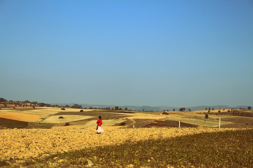 Junges Mädchen auf einem Feld im Shan-Staat