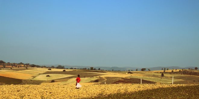 Junges Mädchen auf einem Feld im Shan-Staat